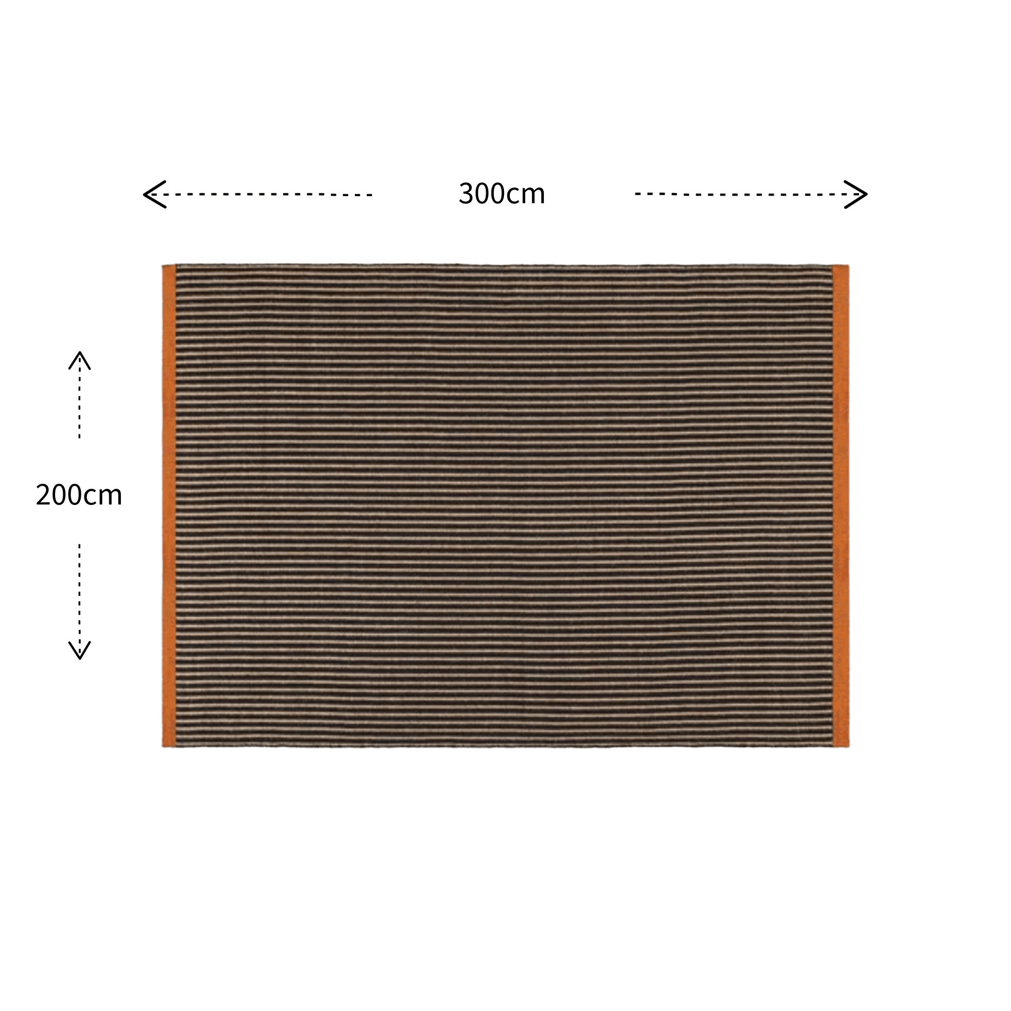 Tom Dixon line rug with dimensions 300cm x 200cm on a white background.